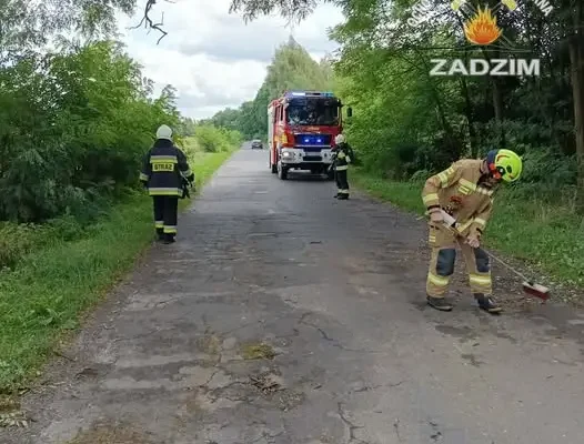 Złamana gałąź na drodze w Ralewicach – interwencja OSP Zadzim