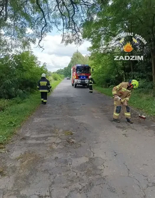 Złamana gałąź na drodze w Ralewicach – interwencja OSP Zadzim