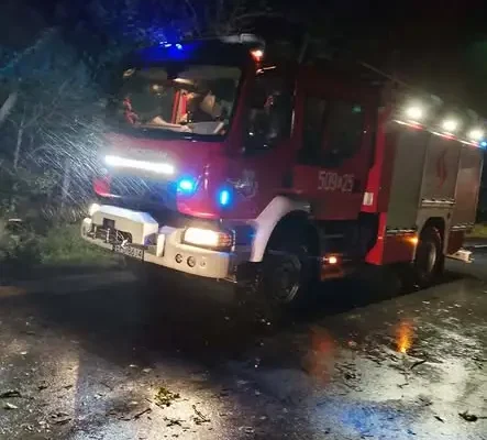 Powalone drzewo zablokowało drogę powiatową w Brzegu