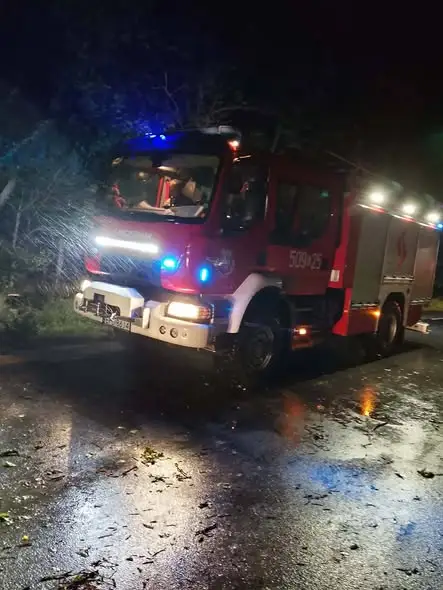 Powalone drzewo zablokowało drogę powiatową w Brzegu
