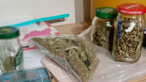 Siedem osób zatrzymanych w sprawie narkotyków. Zabezpieczono blisko 800 gramów
