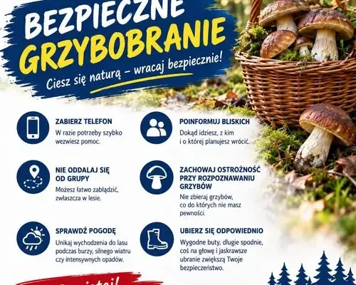 Policja ostrzega przed grzybobraniem: jak bezpiecznie wrócić z lasu