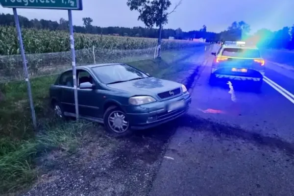 Blisko 3,5 promila alkoholu we krwi kierowcy. Auto wylądowało w rowie